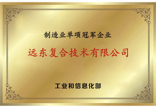 A manufacturing single-champion enterprise